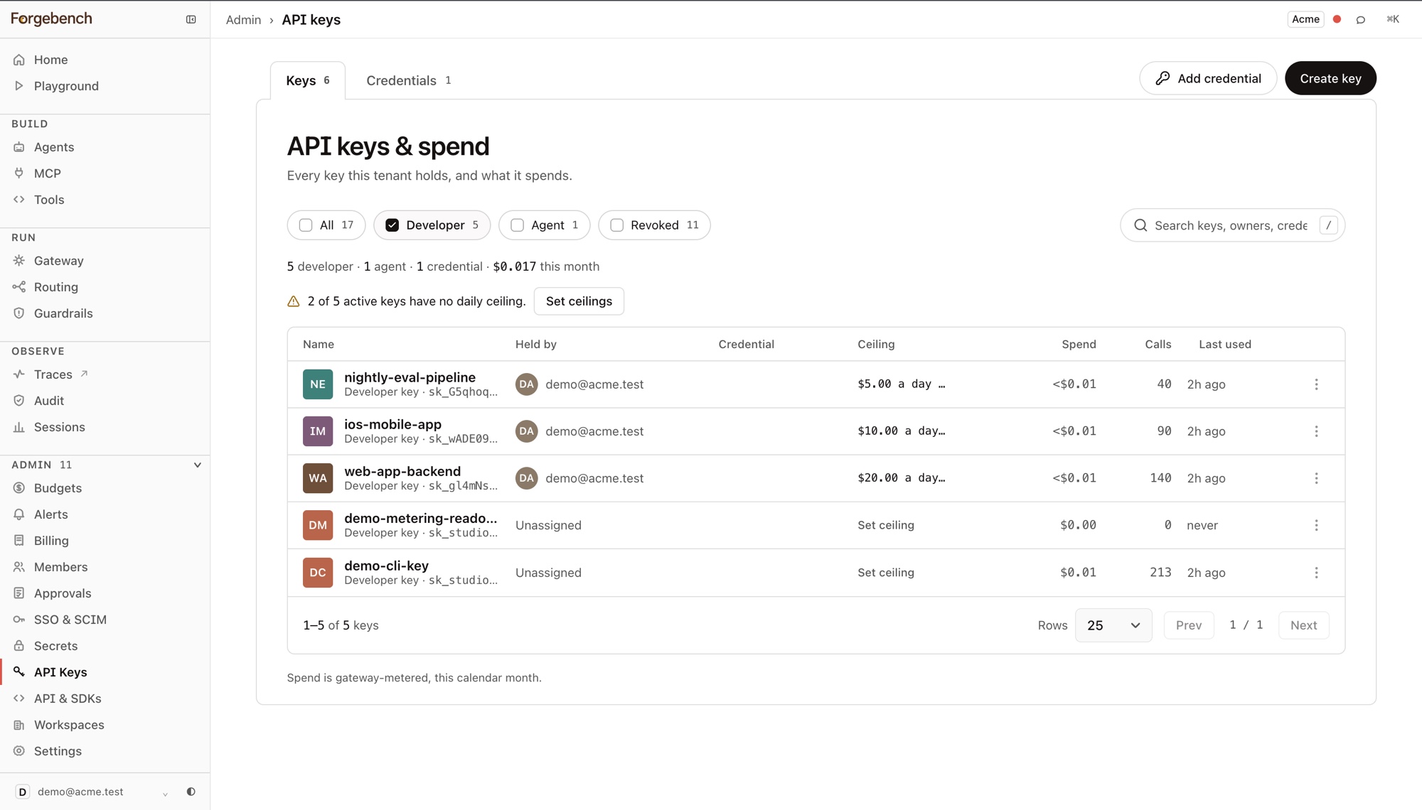 API keys & spend, filtered to developer keys: what each has spent, and which still need a ceiling